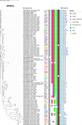 Extensive/Multidrug-Resistant Pneumococci Detected in Clinical Respiratory Tract Samples in Southern Sweden Are Closely Related to International Multidrug-Resistant Lineages